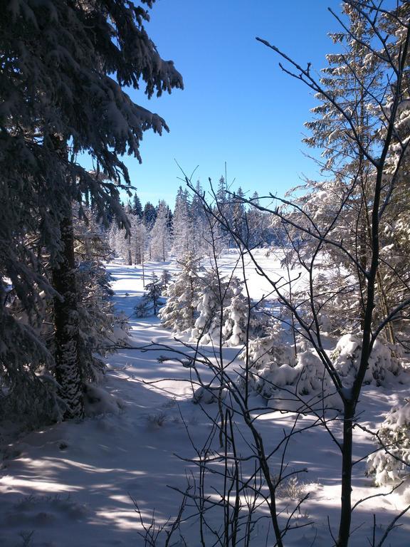 Schwarzwald-Chalet Feldberg Feldberg  Bagian luar foto