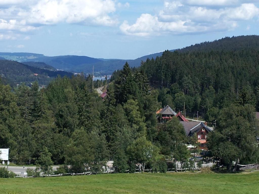 Schwarzwald-Chalet Feldberg Feldberg  Bagian luar foto