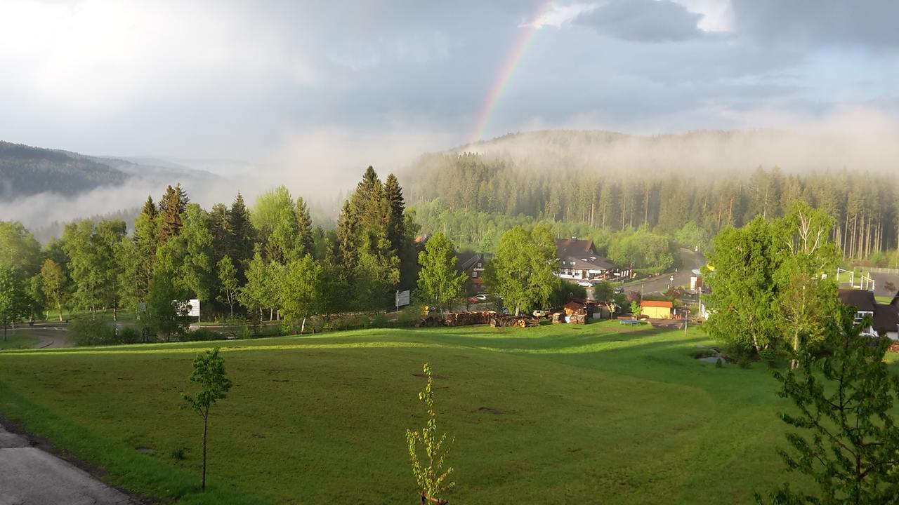 Schwarzwald-Chalet Feldberg Apartment Feldberg  Bagian luar foto